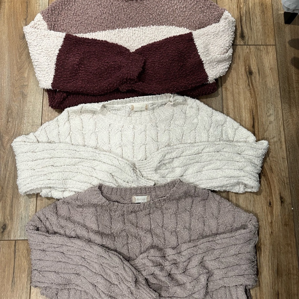Set of 3 Altard State Sweaters